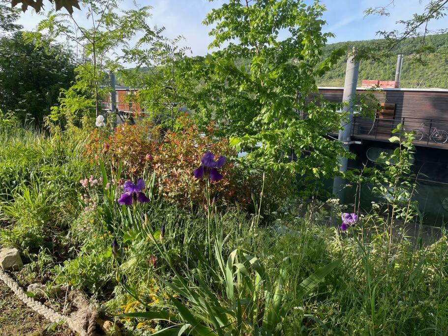 Maison Fleurs De Lys, Climatisee, Wifi Et Parking Privee Gratuit, Lave-Linge, Vernon Giverny 外观 照片